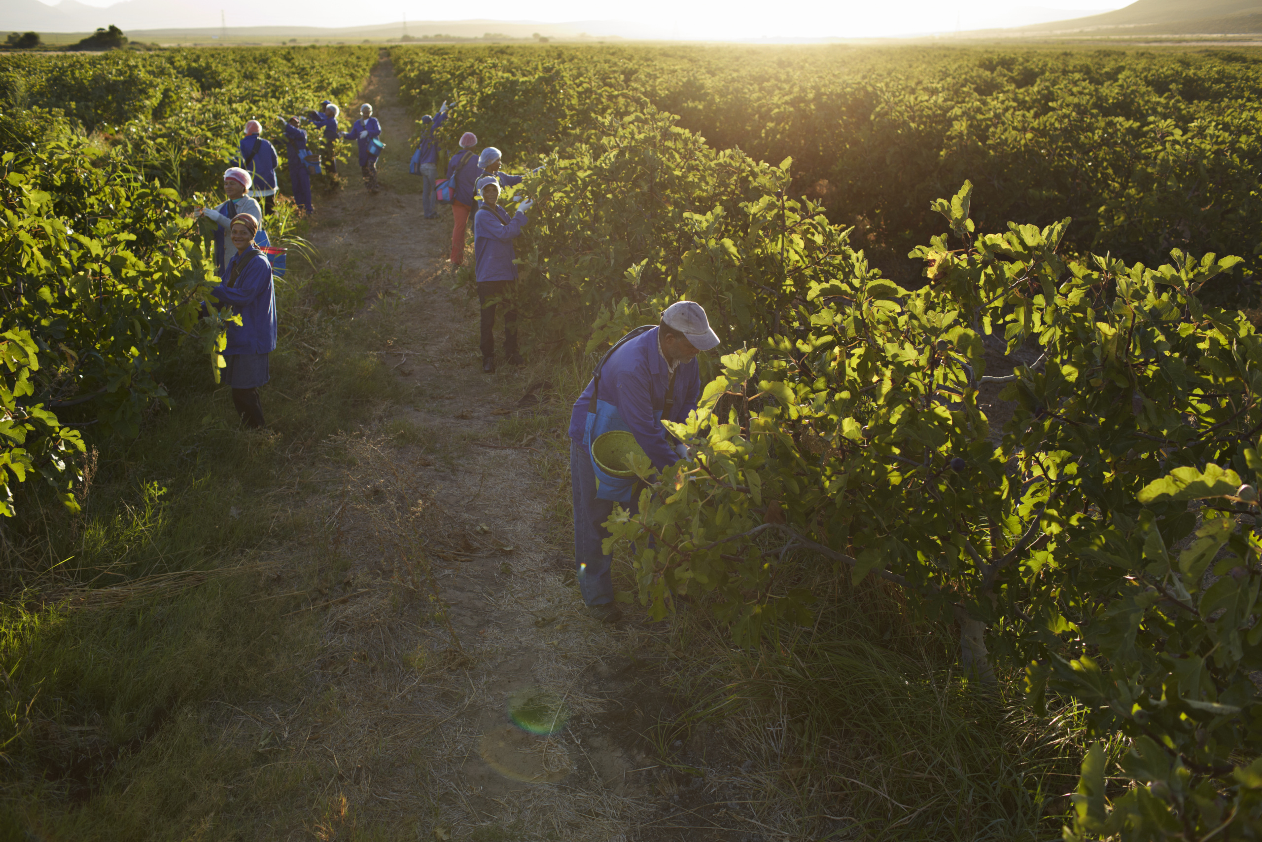 CLASP Federal Recommendations to Combat Child Labor | CLASP