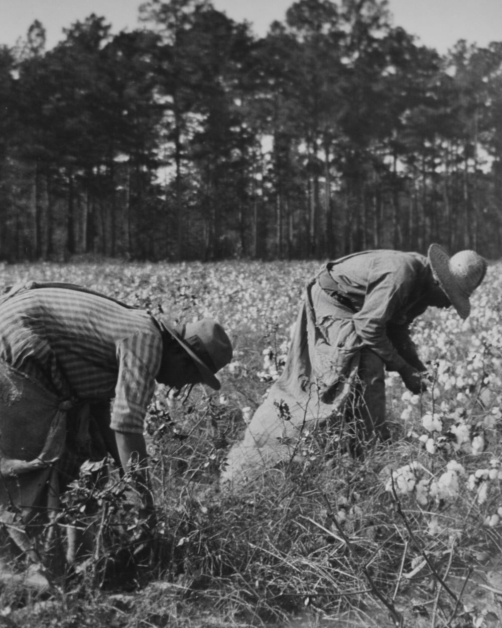 The Entitlement to Black Labor Often Comes at the Cost of Black Humanity